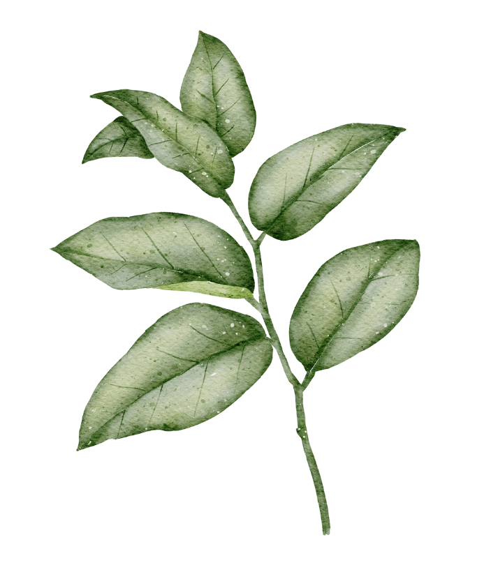 natacha-rochat-plante